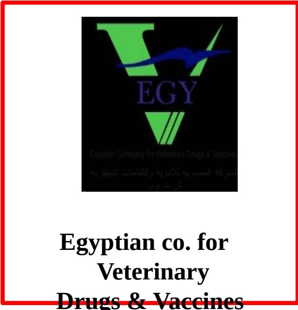 EgyVet