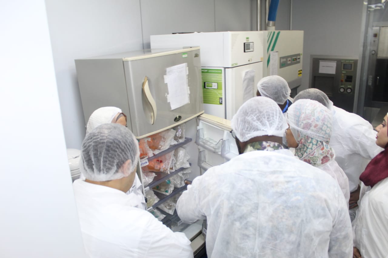 Gallery photo 13